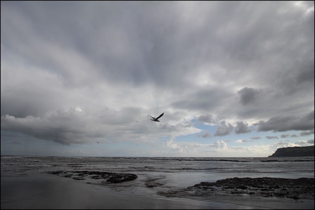 Whitby / Yorkshire