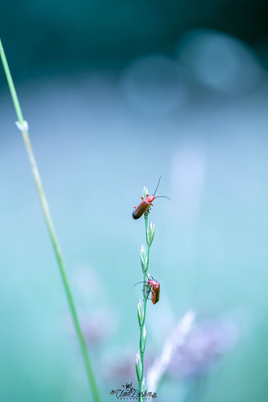 5E5A7638_edited_LR-3