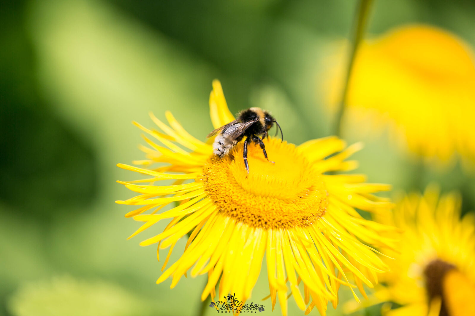 5E5A7695_edited_LR