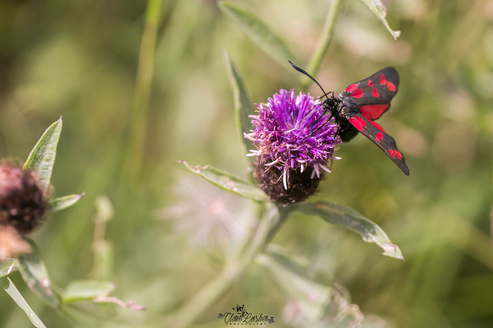 5E5A7982_edited_LR