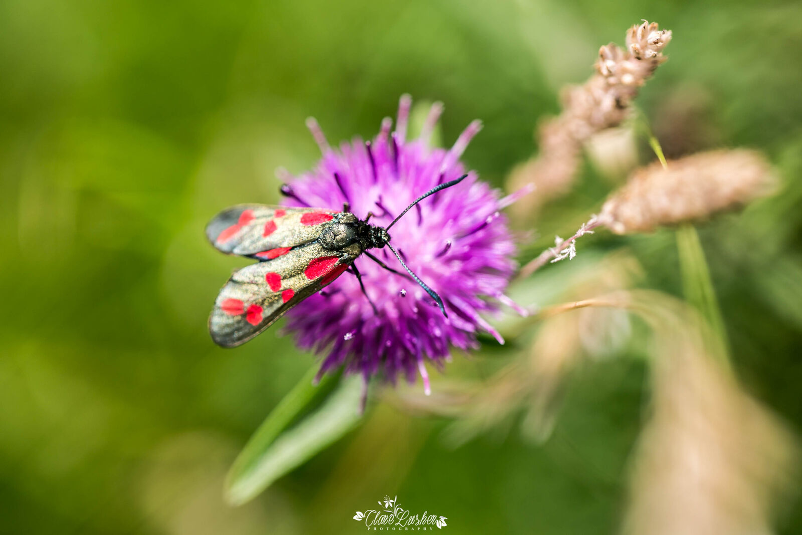 5E5A8025_edited_LR