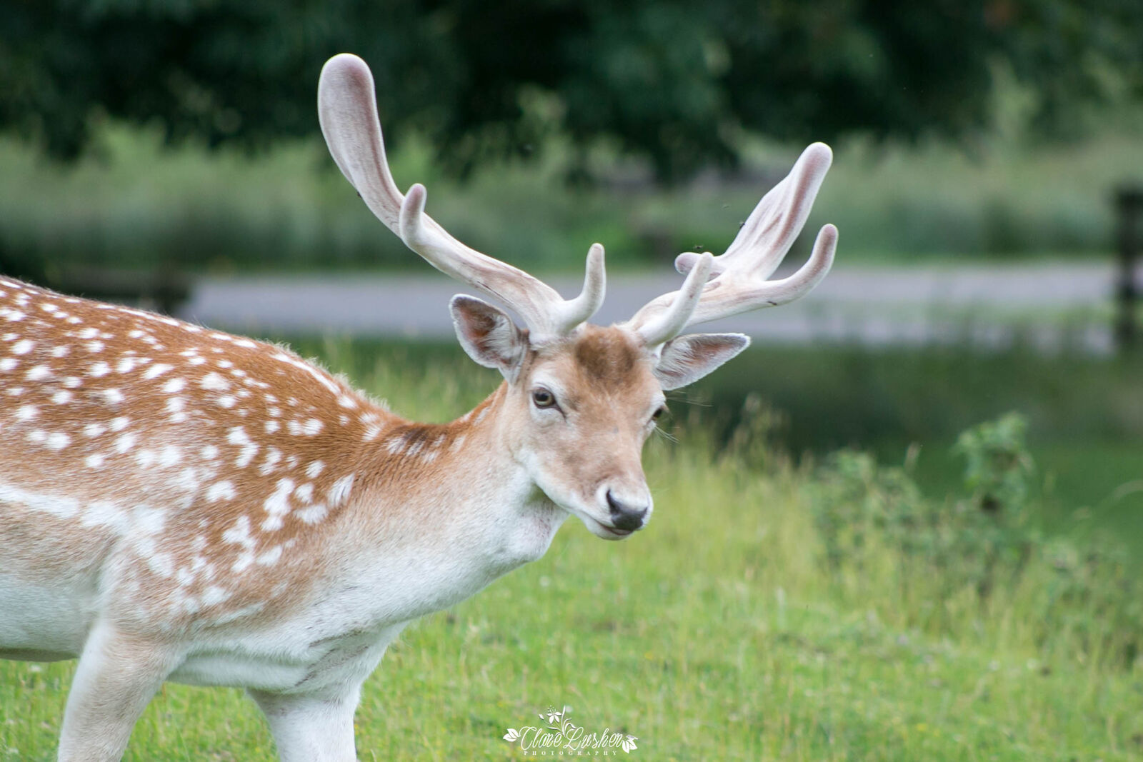 5E5A6957_edited_LR