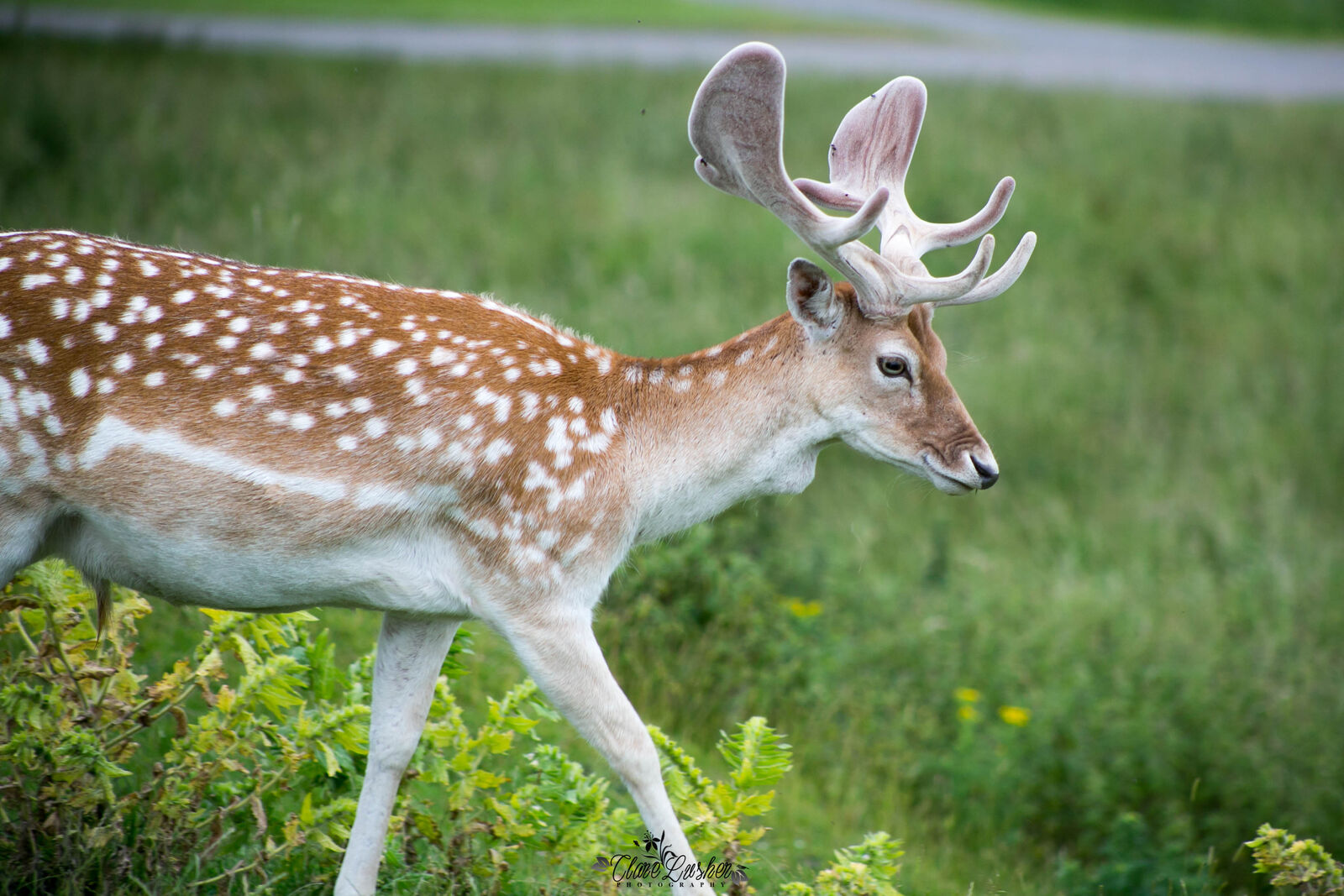 5E5A6960_edited_LR-2