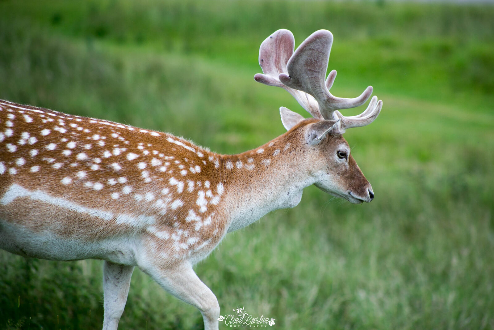 5E5A6963_edited_LR