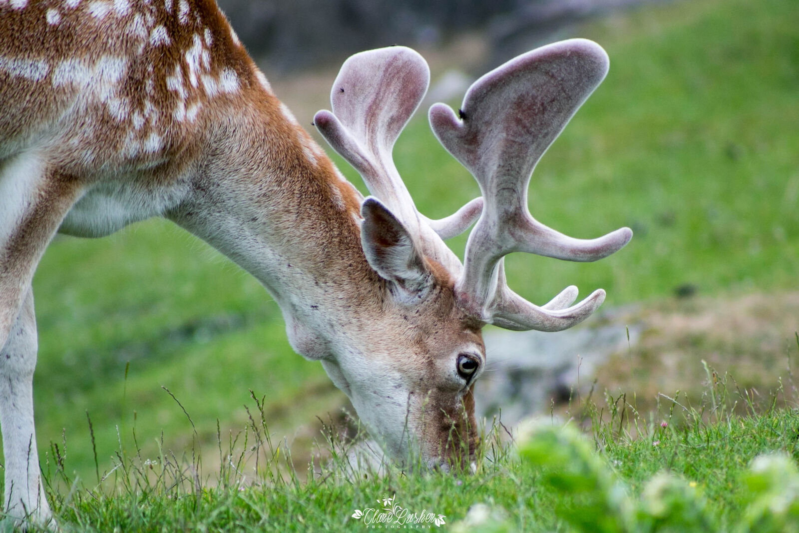 5E5A6979_edited_LR