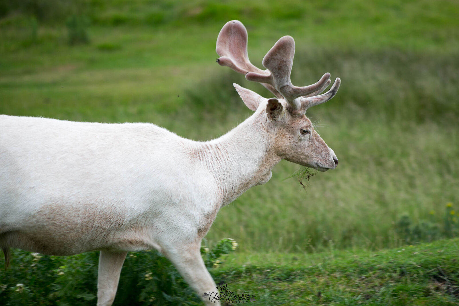 5E5A6986_edited_LR