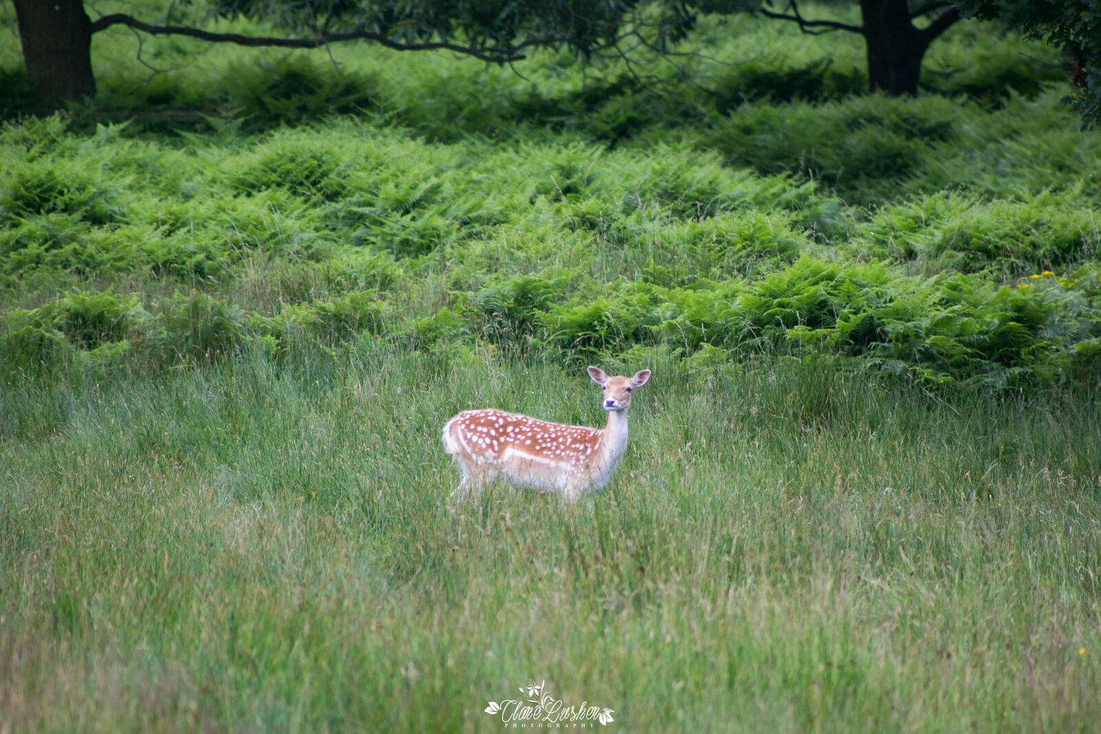 5E5A7014_edited_LR