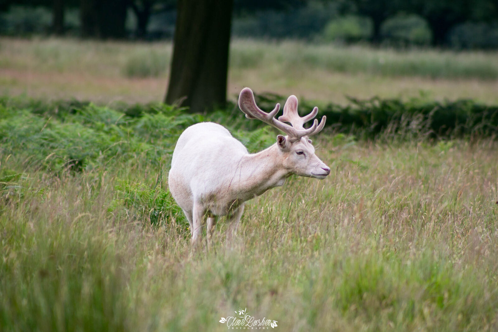 5E5A7019_edited_LR