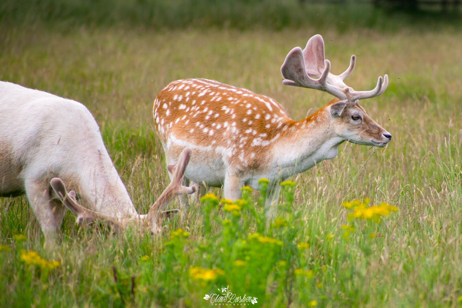 5E5A7032_edited_LR