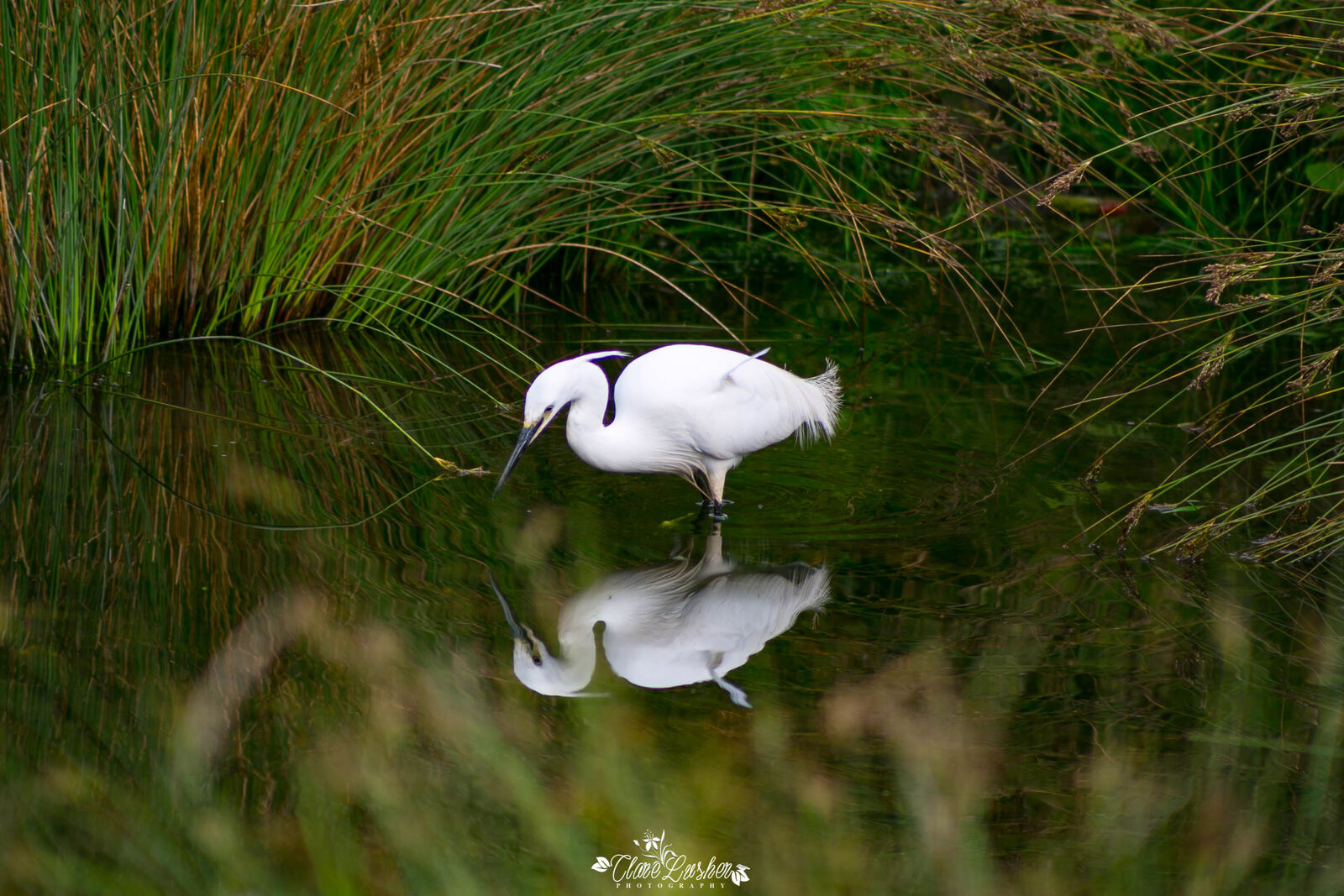 5E5A7262_edited_LR