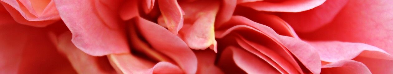 Clare Lusher Photography Blog